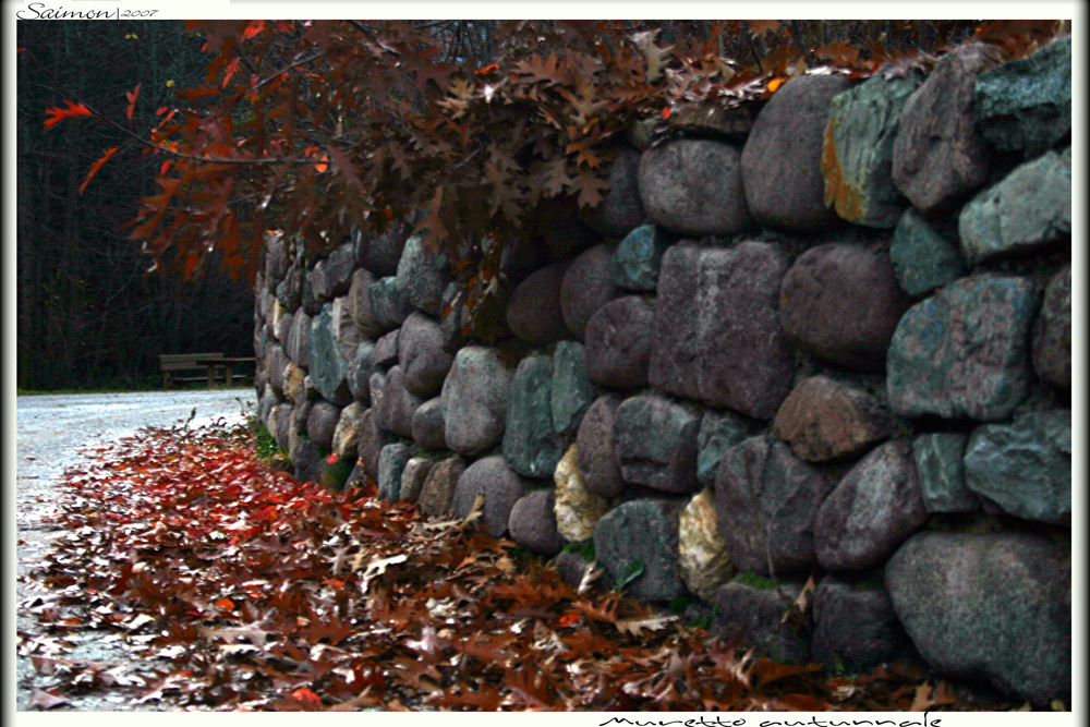 Muretto autunnale