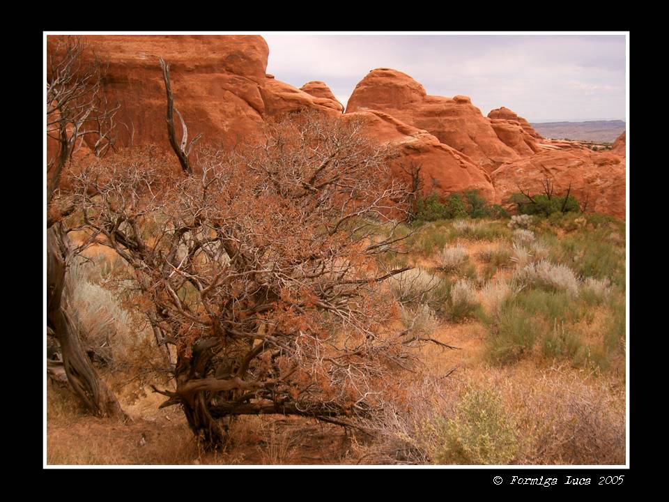 Arches Park, Utah