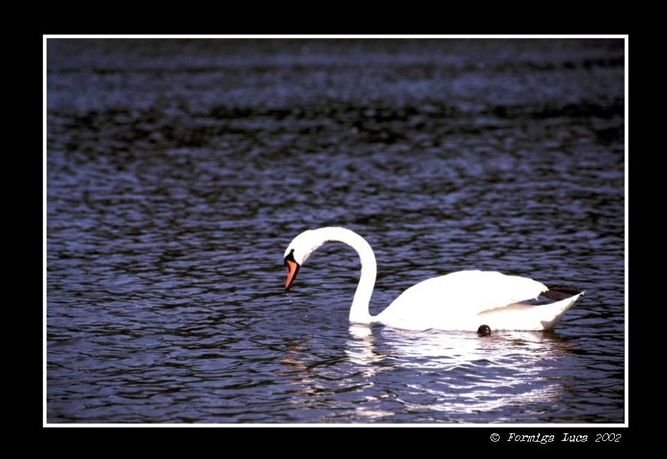 Al Giardino Inglese, Monaco di Baviera