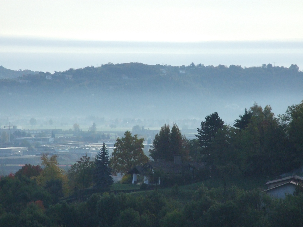 nebbia in pianura