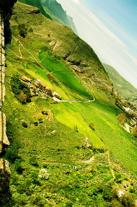 Paesaggio in verde