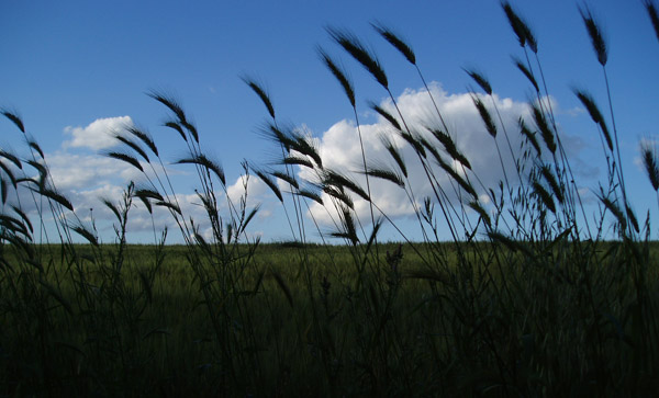 paesaggio