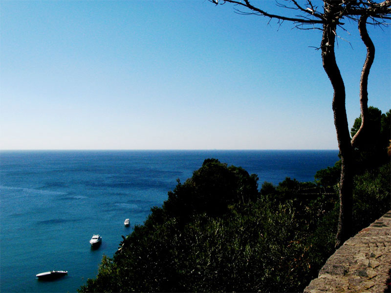 Mare #7