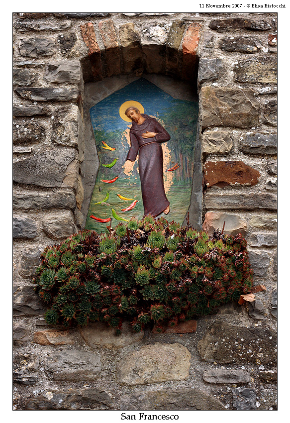 Montone