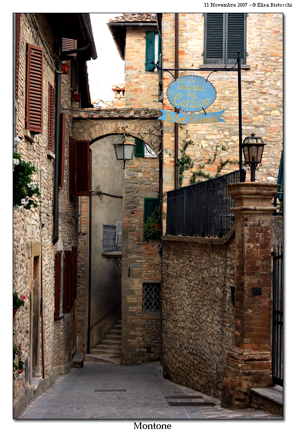 Montone