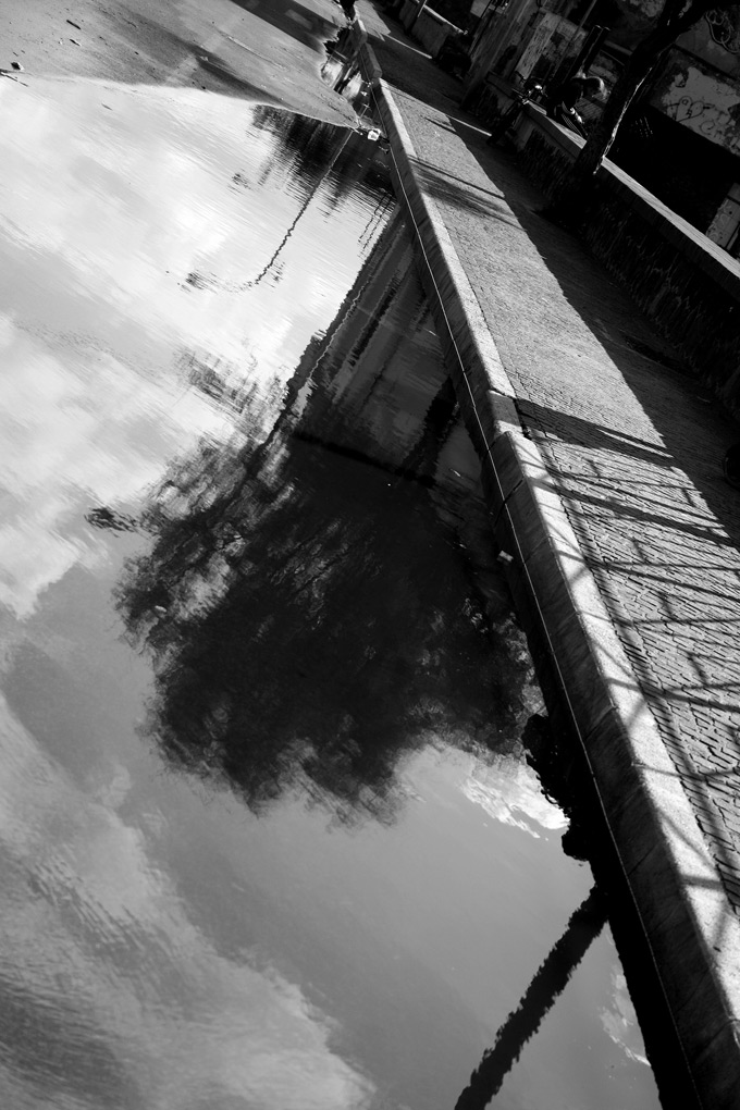 lettore