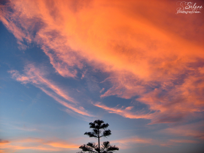 Tramonto delicato