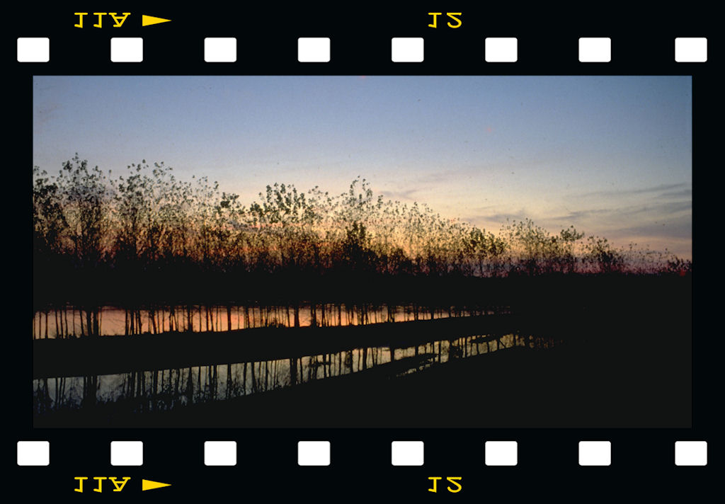 Il grande Fiume....