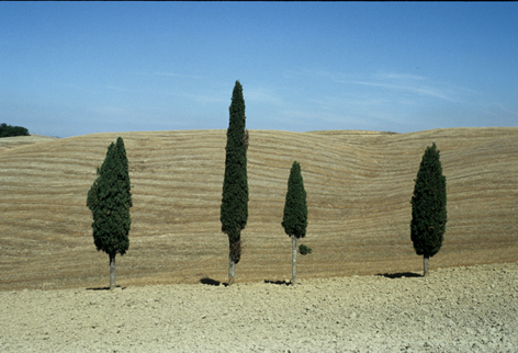 I solitari della Val d'Orcia