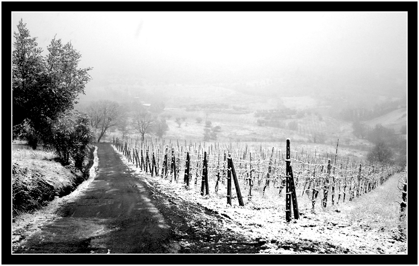 neve in bianco e nero