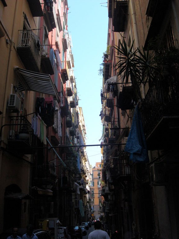 vico
