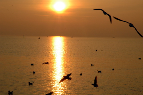 TRAMONTO 2