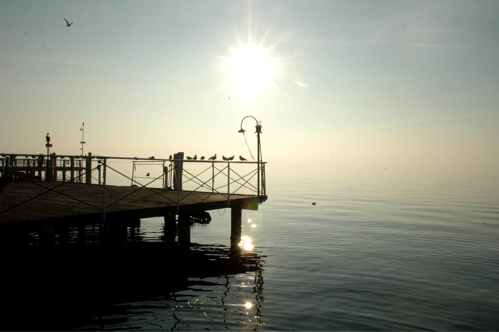 controluce