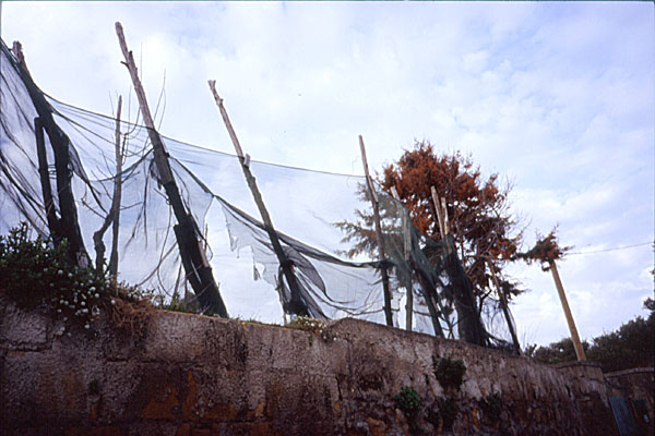 per vittorio