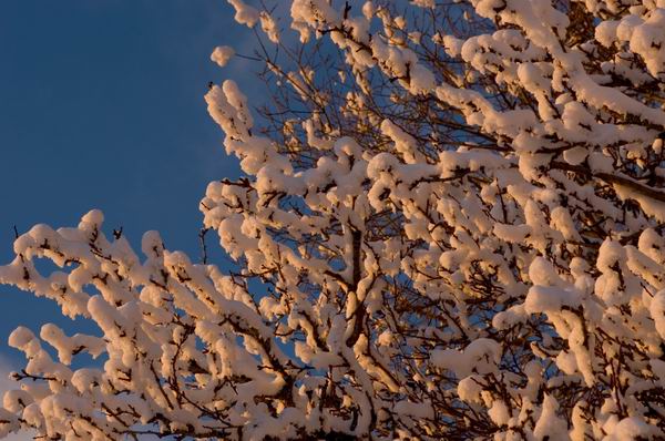 Tramonto sulla neve