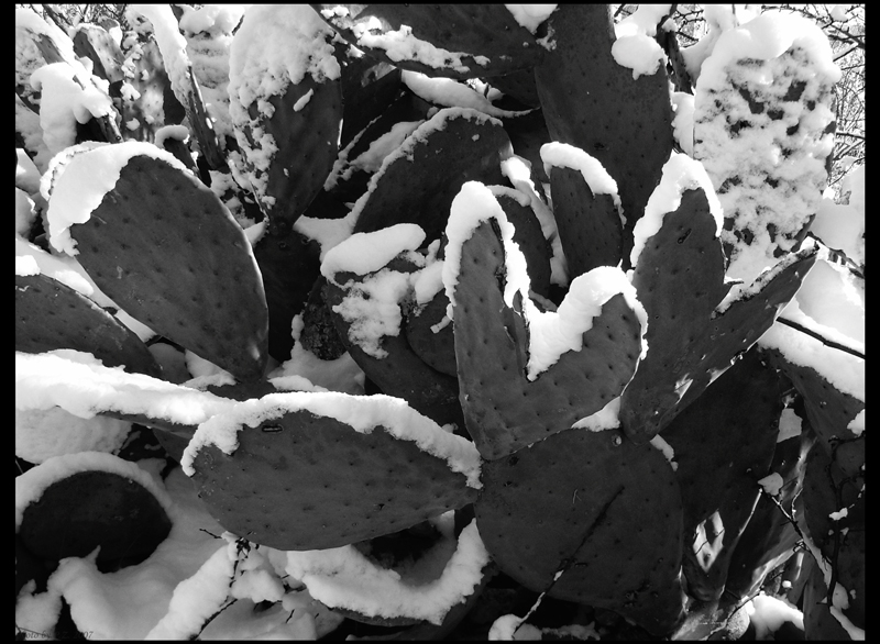 neve, 8