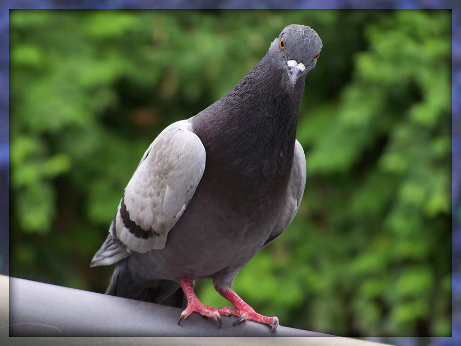 Stop staring at me!
