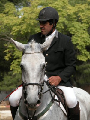 Medicavalli 2003