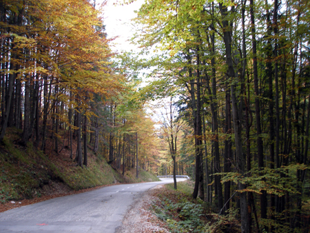 Autunno