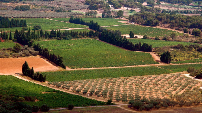 paesaggio