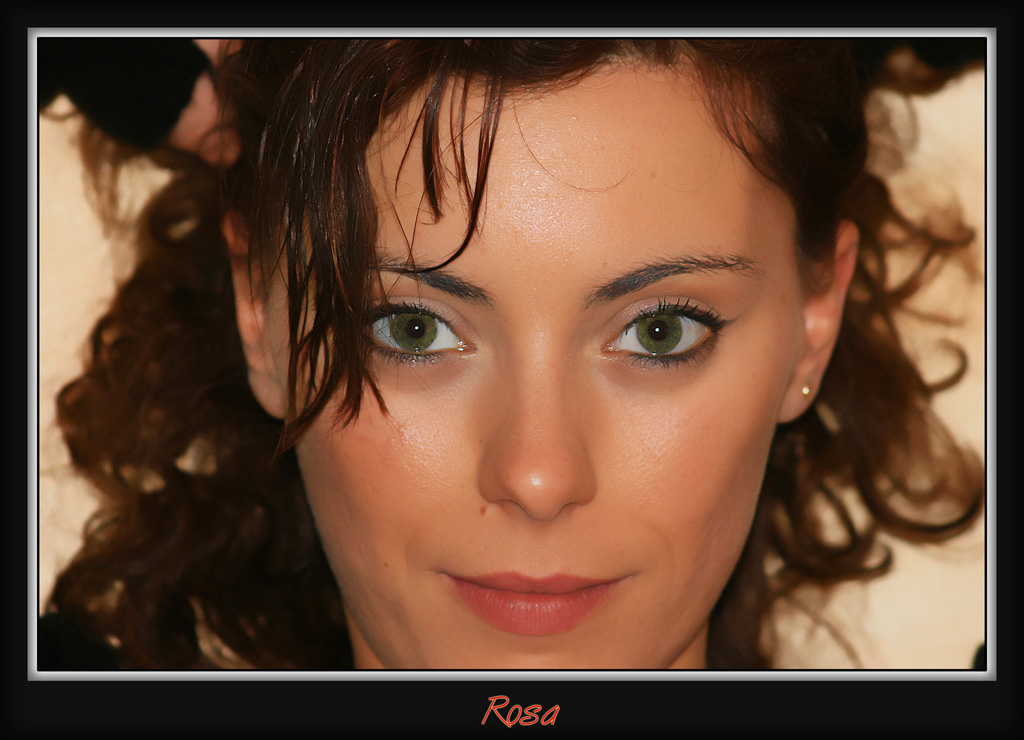 rosa3