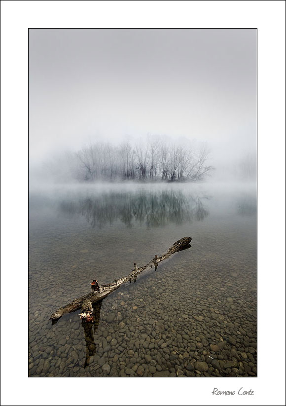 Dall'argine di un fiume (di Romacon)