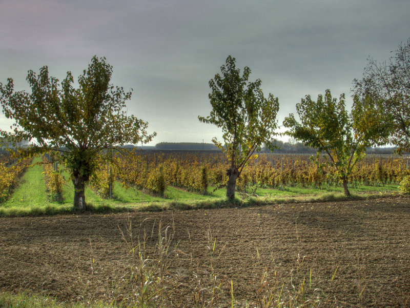 controluce