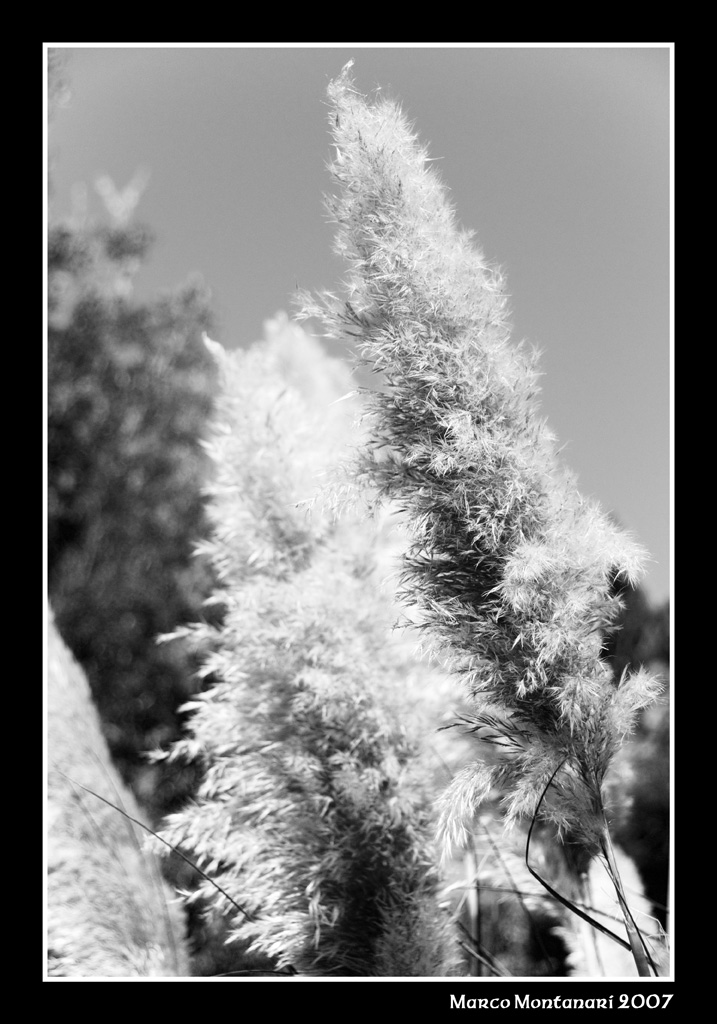b&w 1