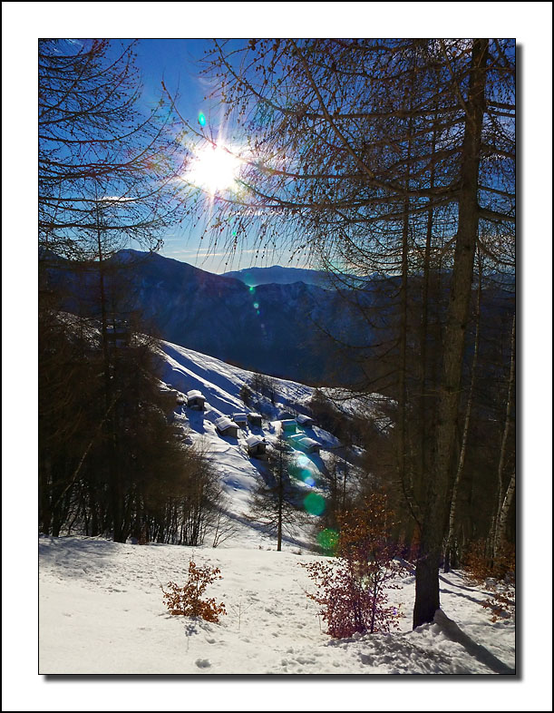 Undici