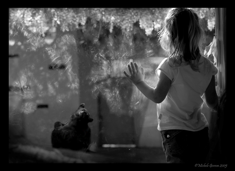 la bambina e l'orso