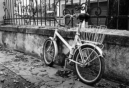 Autunno in bici