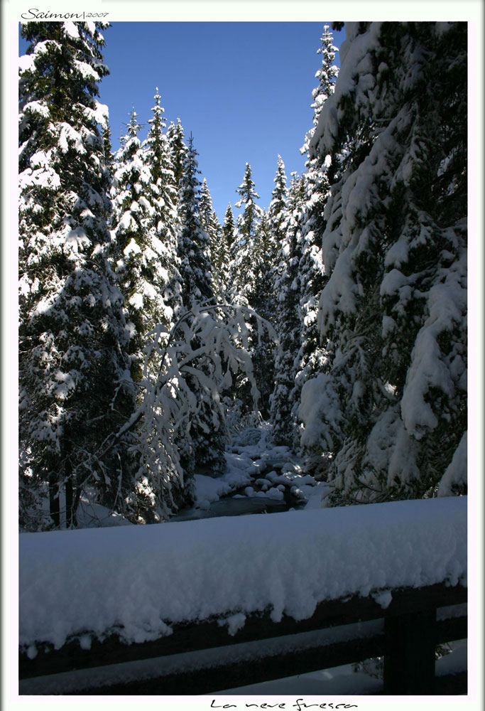 La neve fresca