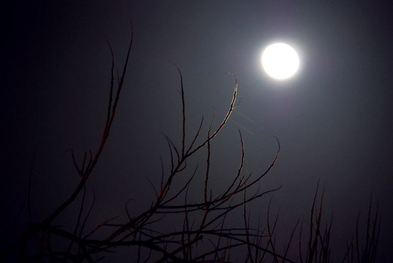Al chiaror di luna