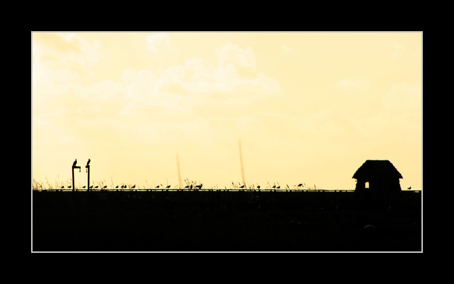 Arborea #2