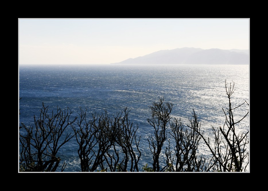 Tramontana