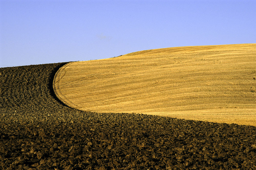 Valdorcia