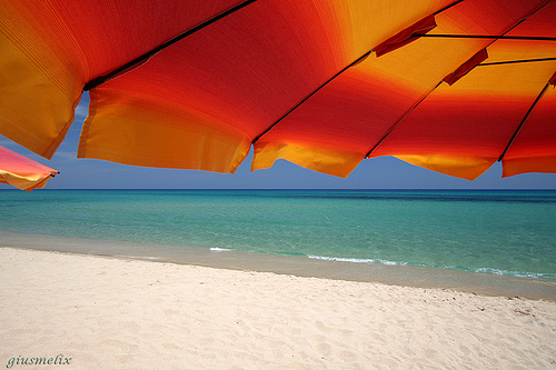 Summer colours