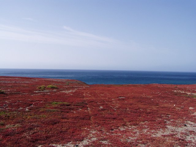 Fuerteventura 2