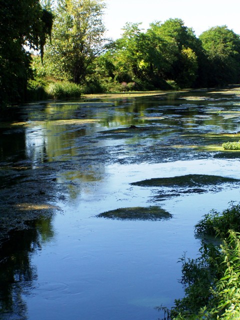 Restera 4