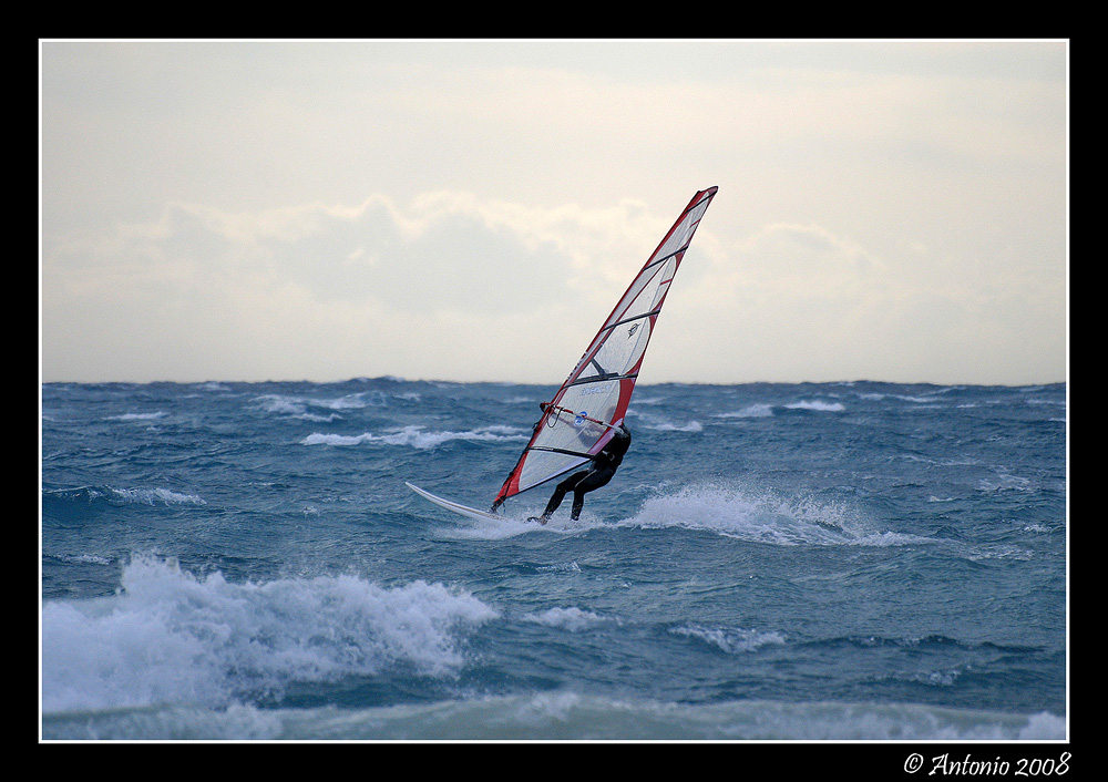 Windsurfer