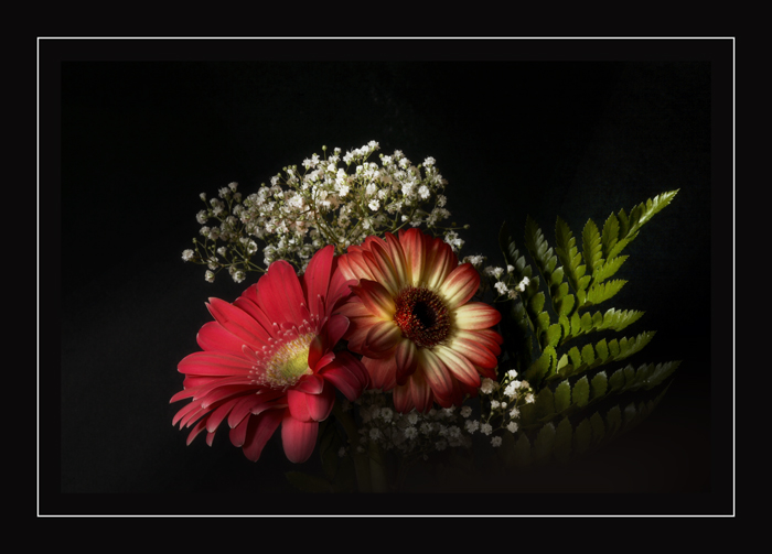 i miei fiori