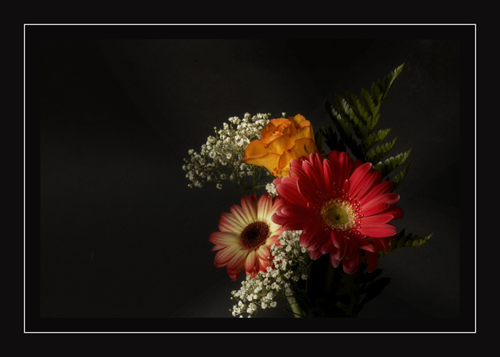 book fiori