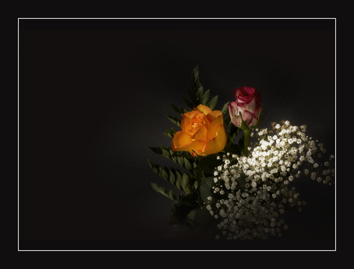 fiore3