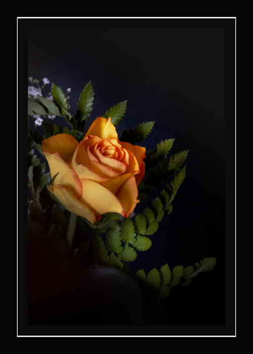 fiore5