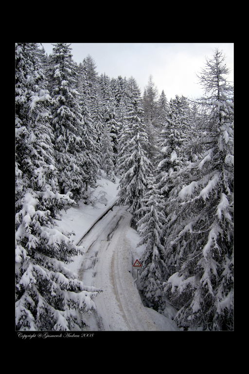 Valfurva