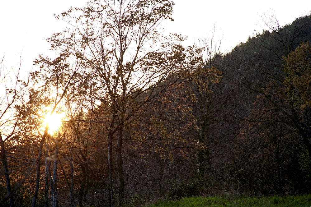 Ultime luci in campagna