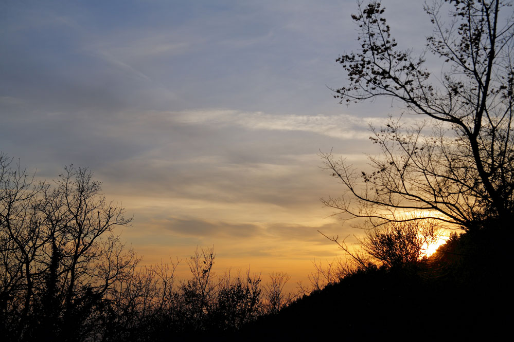 Ultime luci in campagna