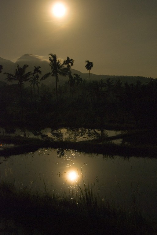 bali1