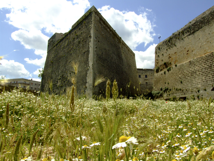Otranto punt&#305; d&#305; v&#305;sta