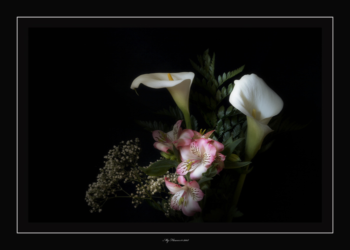 my flower 2